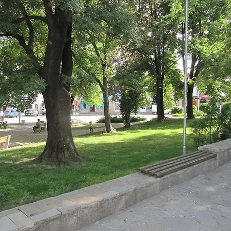 Zoev House *