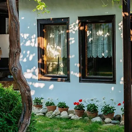 Zoev House