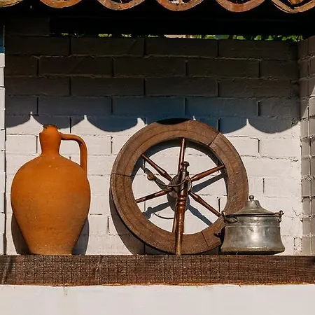 Zoev House كارلوفو