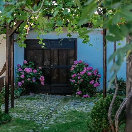 Vila Zoev House *
