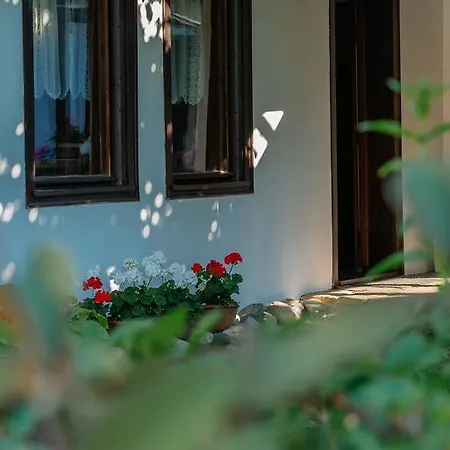 Zoev House فيلة