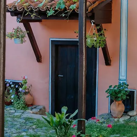 Zoev House