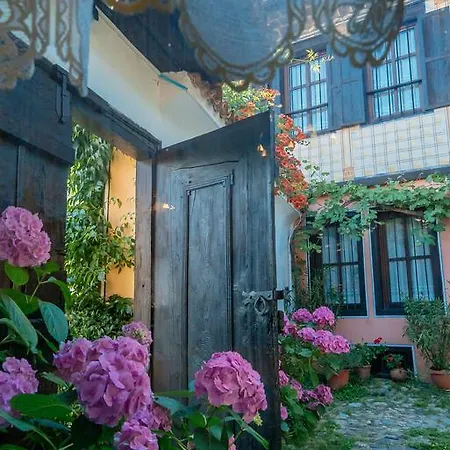 Луксозна вила Zoev House *