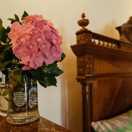 Zoev House Vila
