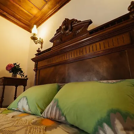 Vila Zoev House *