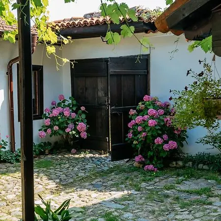 Zoev House فيلة *