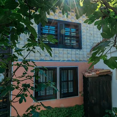 Zoev House فيلة *