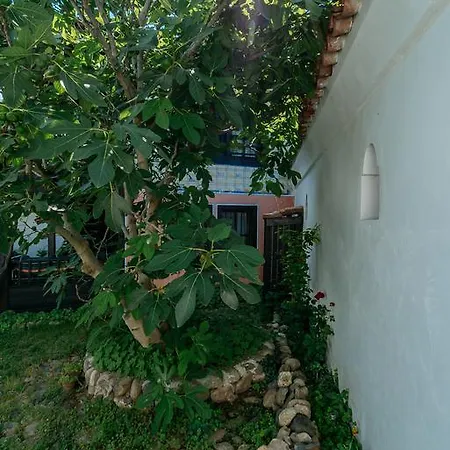 Zoev House Луксозна вила Карлово