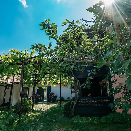 Zoev House Vila Karlovo