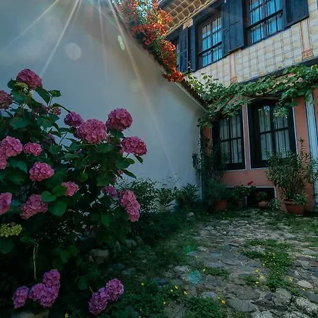 Zoev House فيلة
